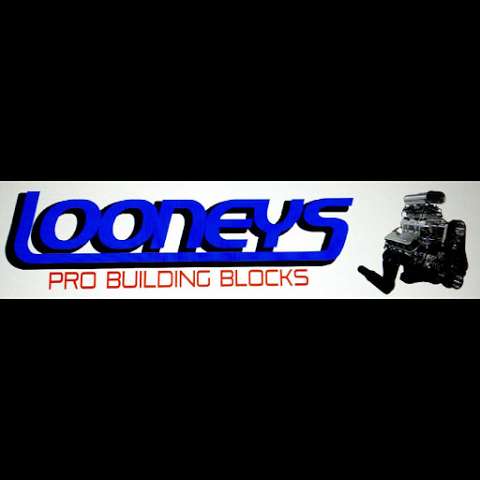 Photo: Looney's Pro Building Blocks